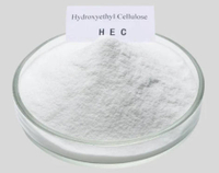 //iororwxhlmlilq5p.ldycdn.com/cloud/piBpnKliliSRolojkljkkq/Top-10-Cellulose-Ethers-Manufacturers-in-China.jpg