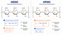 //iororwxhlmlilq5p.ldycdn.com/cloud/pmBpnKliliSRqlqrqjriko/HEMC-vs-HPMC-Molecular-Structure-Comparison.jpg