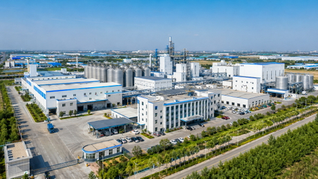 HPMC Factory Aerial View HPMC.jpg