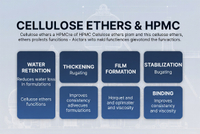 //iororwxhlmlilq5p.ldycdn.com/cloud/ppBpnKliliSRpliiijoko/HPMC-Functional-Benefits-Overview.jpg