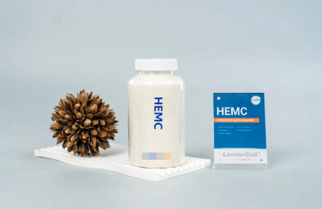 Top 10 Detergent Grade HEMC Manufacturers in China.jpg